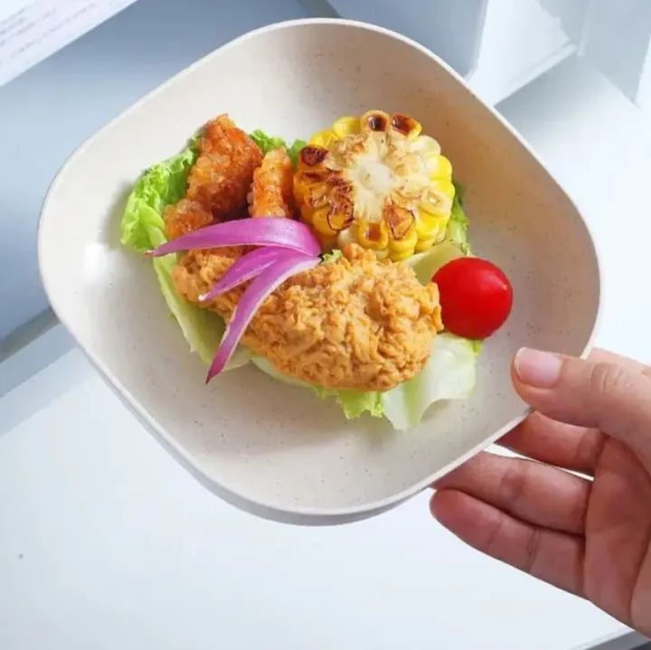 Kitchen Accessories Square Plastic Dinner Plate Set (Set of 10 Pcs) Colorful Snacks/Breakfast Plate with Stand Kitchen Tools - 10Pcs - MultiColor